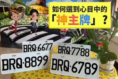 車牌號碼4|新車牌6碼變7碼！「4」忌諱 不再用